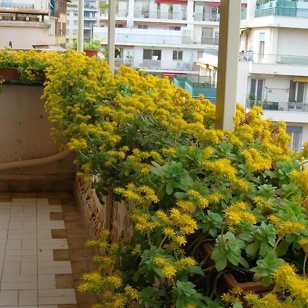 Palladium - Petite Maison De Charme Vintage Apartamento
